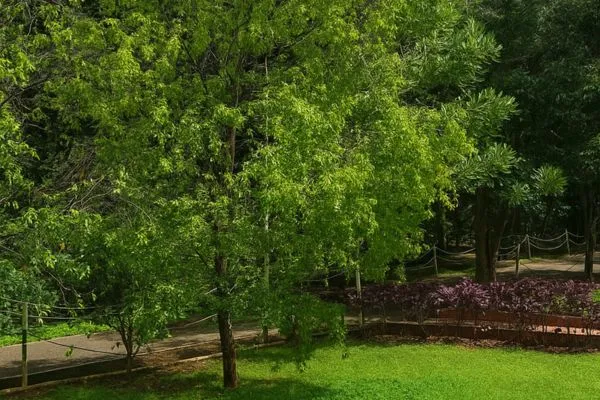 Bulk Land Image
