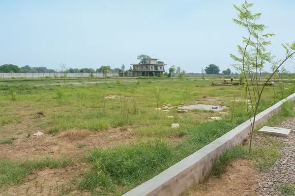 Bulk Land Image