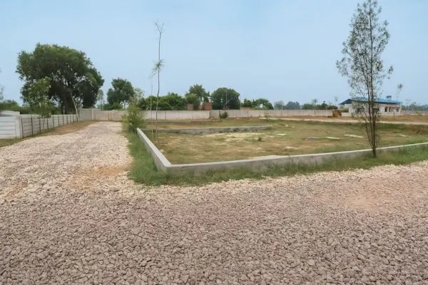 Bulk Land Image